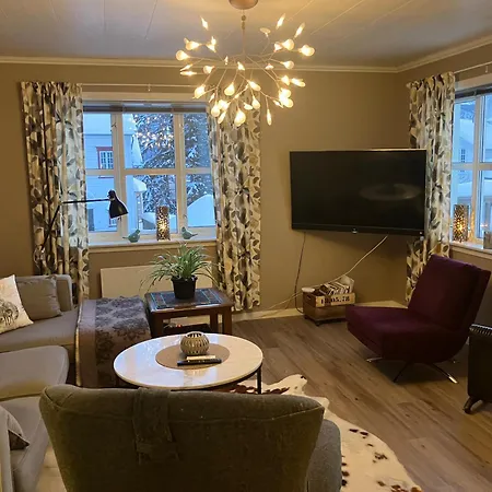 Cozy Northern Light דירה טרומסה