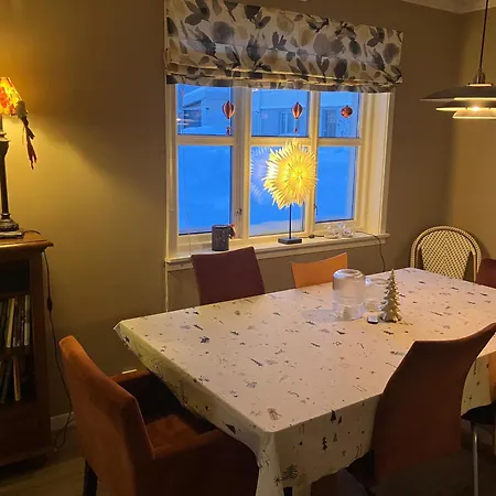 Cozy Northern Light דירה